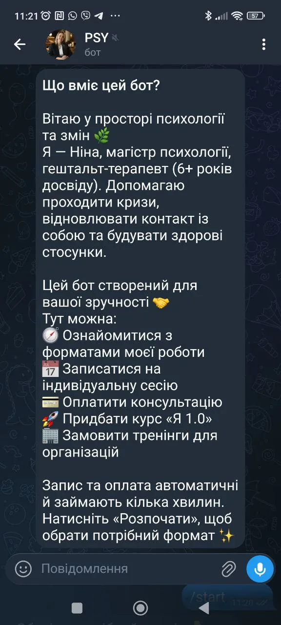 PSY NINA — Цифровий Асистент
